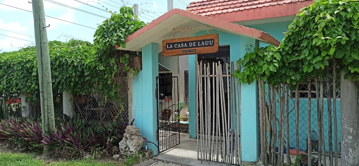 El Taco Loco Bacalar — vista de la fachada colorida, un plato de camarón tikin xic sobre tortilla de maíz y una botella de agua de coco sobre una mesa rústica