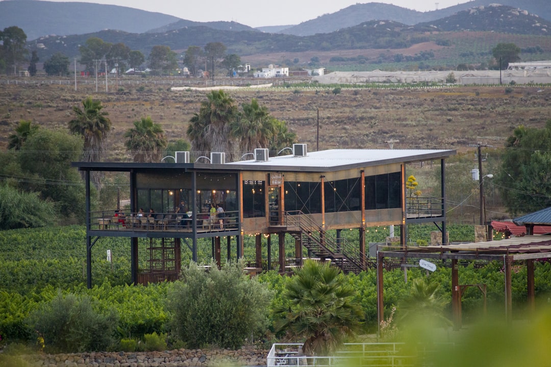 A house sitting on top of a lush green field