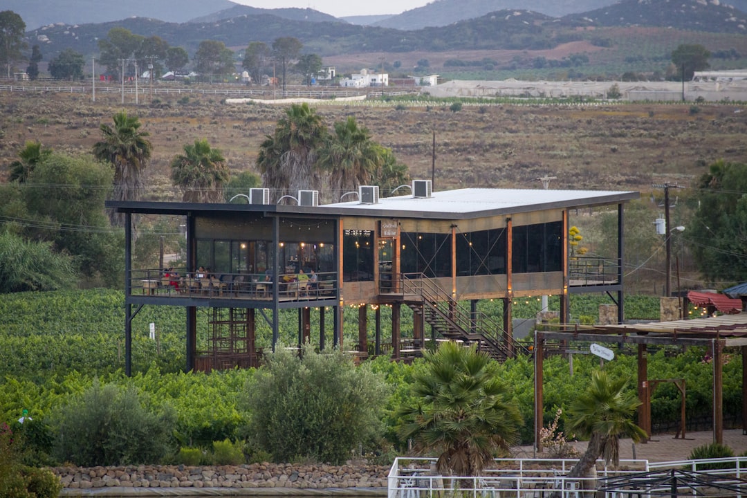 A house sitting on top of a lush green hillside