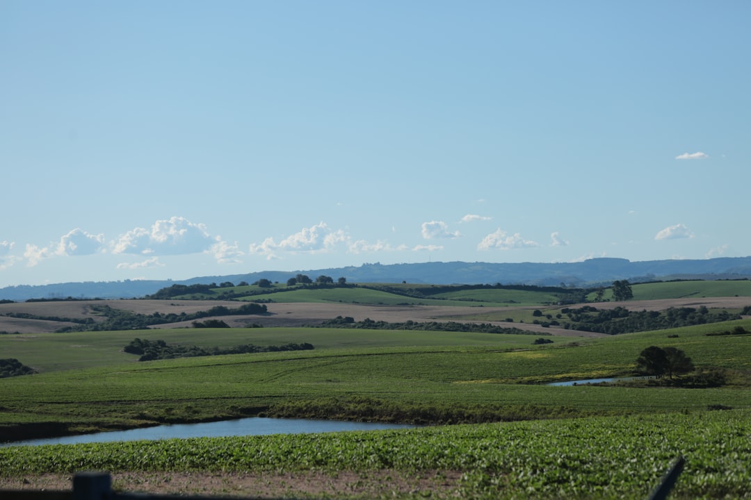 Os melhores lugares para comer em Fazenda Rio Grande