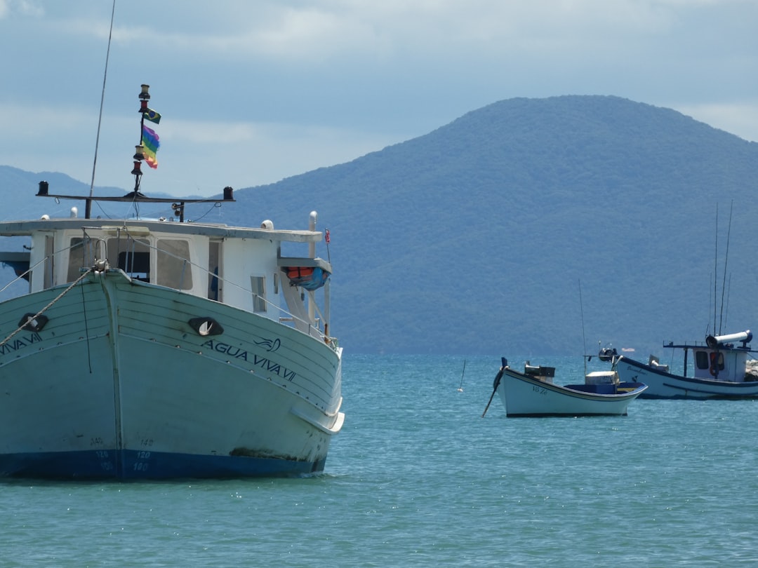 Fishing boats float on the calm blue sea.