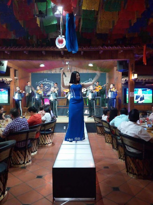 Robots cat sirviendo platos en Café El Gato — vista del interior con los robot‑cats y una mesa con carbonara y cheesecake