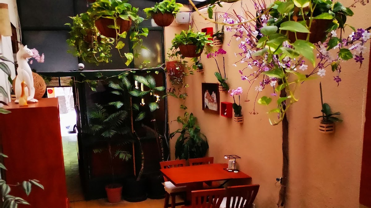 Modern Mexican dining at Restaurant Café El Gato Café with robot decorations