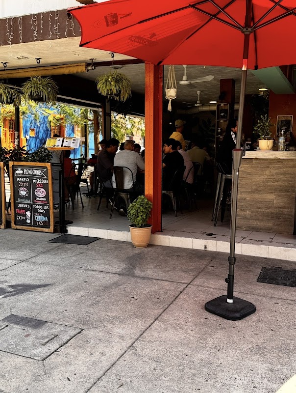 Sunlit view of Café Finca Riveroll's front patio with greenery and rustic tables