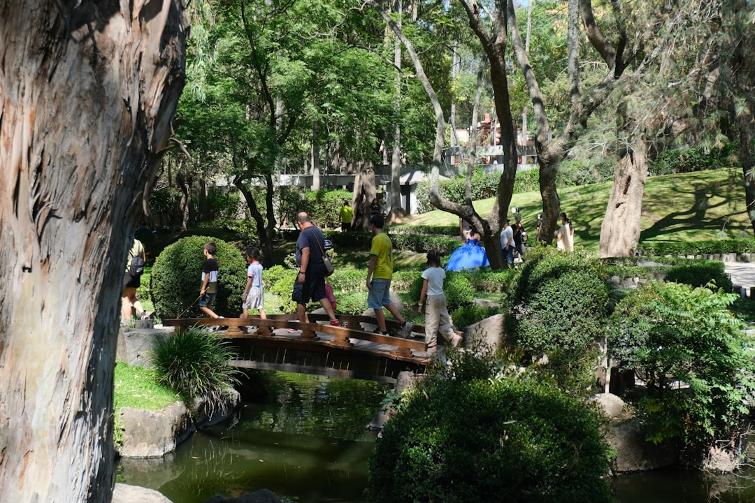 People walk on a bridge in a lush green park.