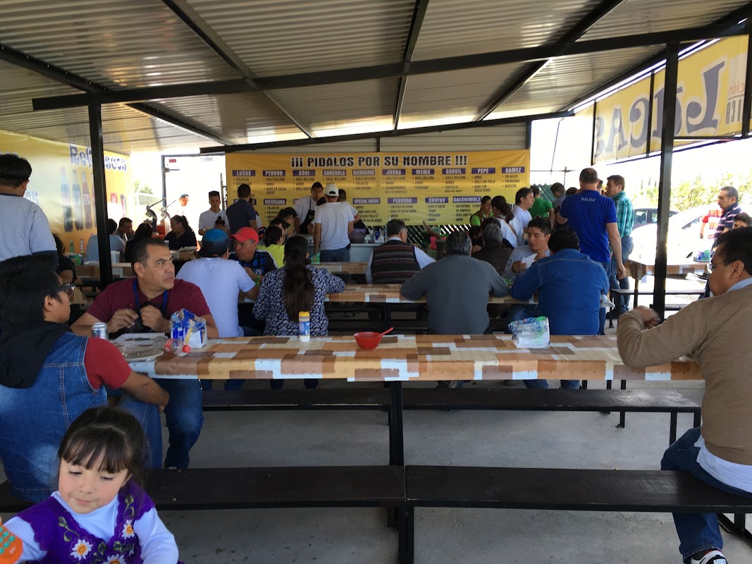 Tacos América storefront on 5 de Febrero with its neon sign and a plate of liver tacos on the counter — close-up
