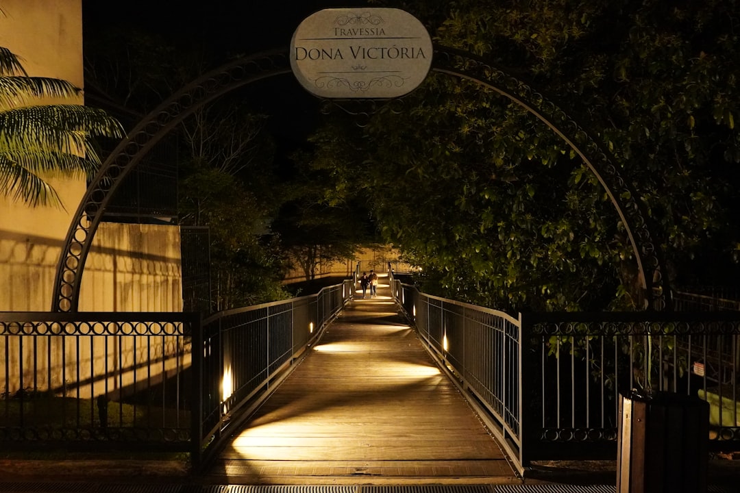 A lit bridge at night with trees