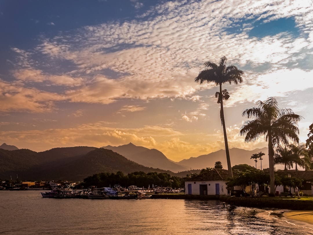 a body of water with palm trees and buildings along it