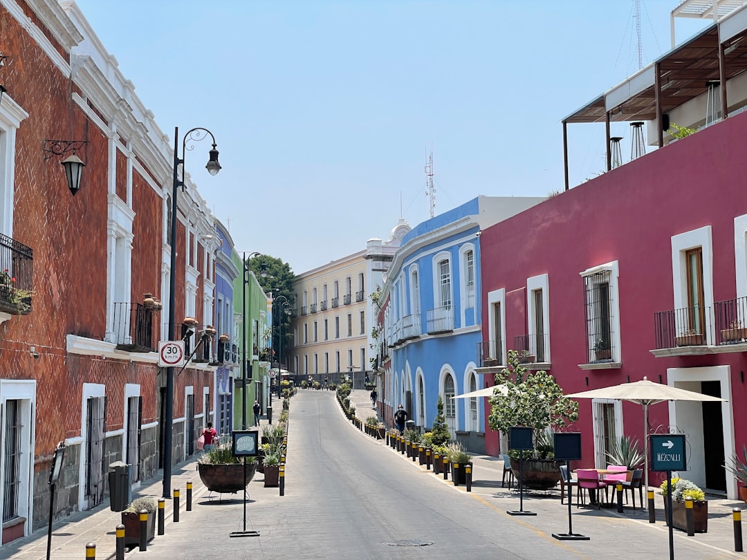 Pulques Téllez: A Day in Puebla’s Timeless Pulque Bar