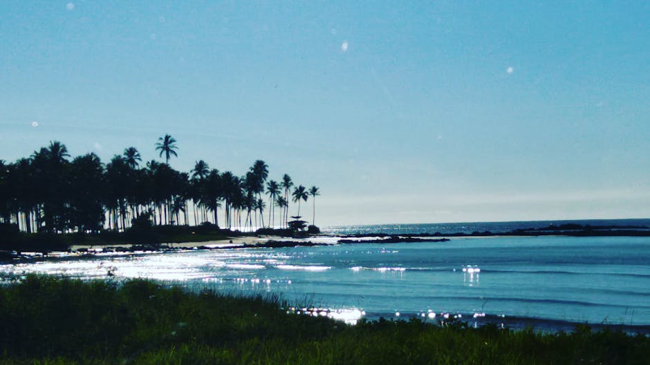 Peaceful shoreline with palm trees in Espírito Santo, Brazil during a sunny day.
