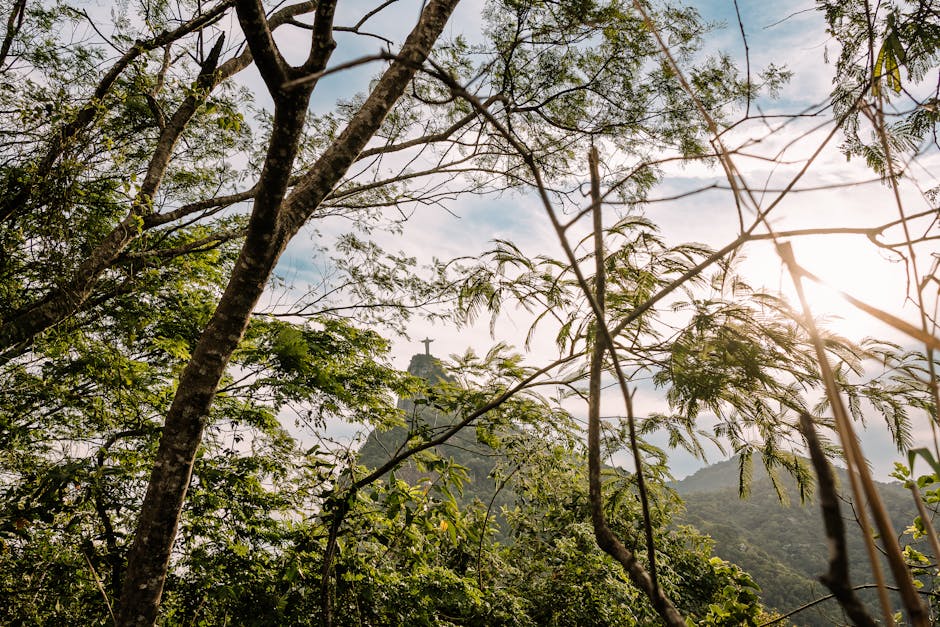 Christ the Redeemer viewed through trees in Rio de Janeiro's lush landscape, Brazil.