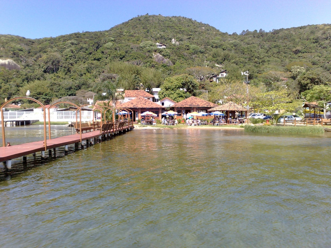 brown wooden dock on river during daytime