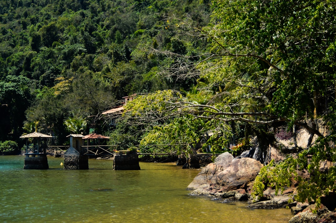 a body of water surrounded by trees and rocks