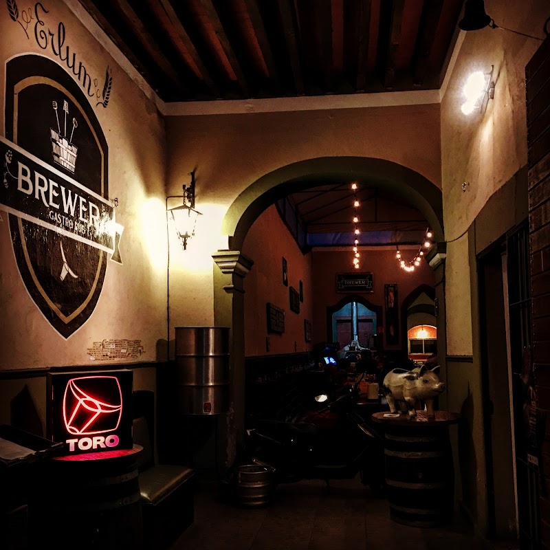 Interior del Brewer Gastro Pub con barra de cervezas artesanales y una pizza recién salida del horno