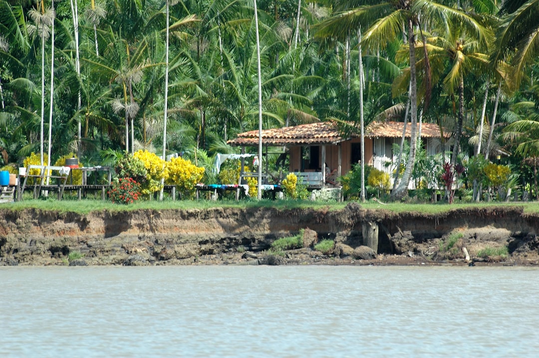 brown and white wooden house near body of water during daytime
