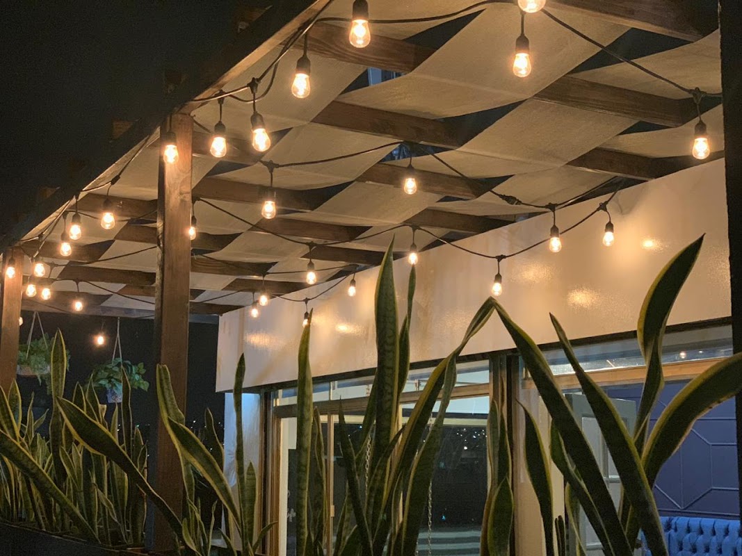 Modern interior with sushi on display